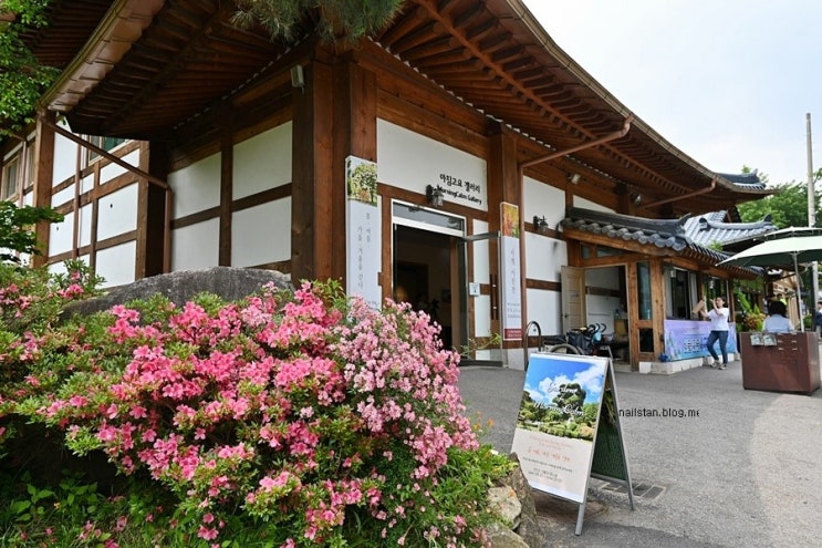  아침고요수목원 아이와 8월 놀러갈만한곳