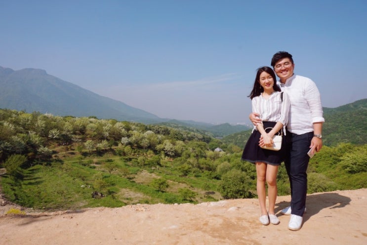 양산 통토사 양산 통토사