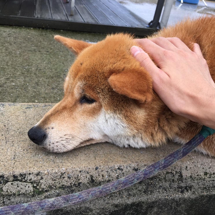  [여행] 춘천 당일치기
