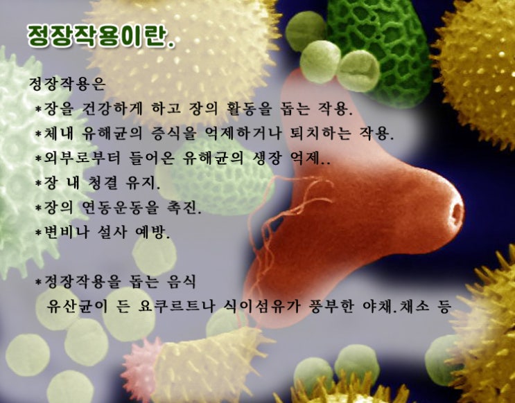  정장작용이란?