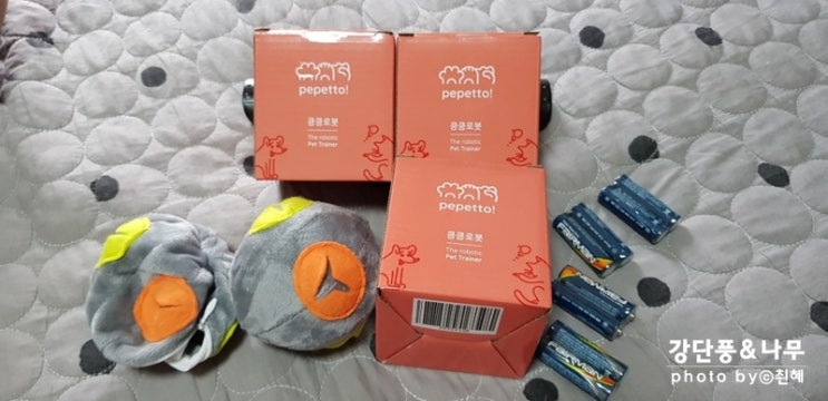  와디즈 펀딩 킁킁로봇 피트니스로봇 제 점수는요!