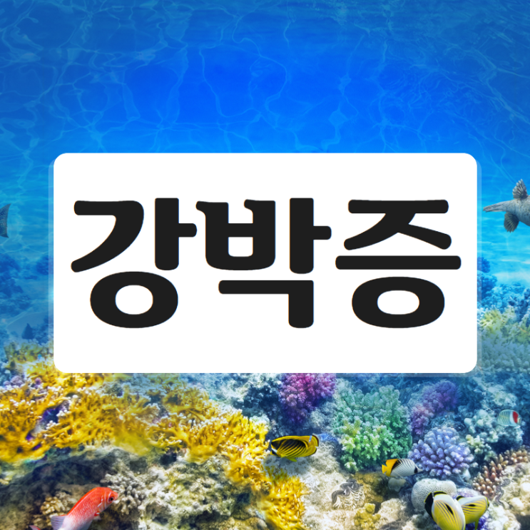  강박장애 증상 불편함을 덜어요