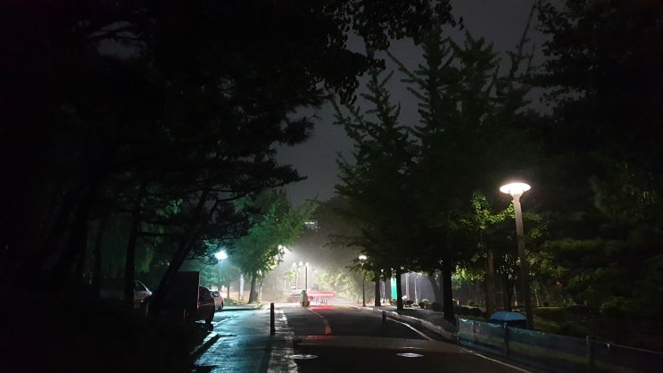  자기불구화(self handcapping)