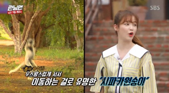 ‘런닝맨’ 오마이걸 승희 “이광수, 시파카 원숭이 닮았다” 돌직구[결정적장면] 