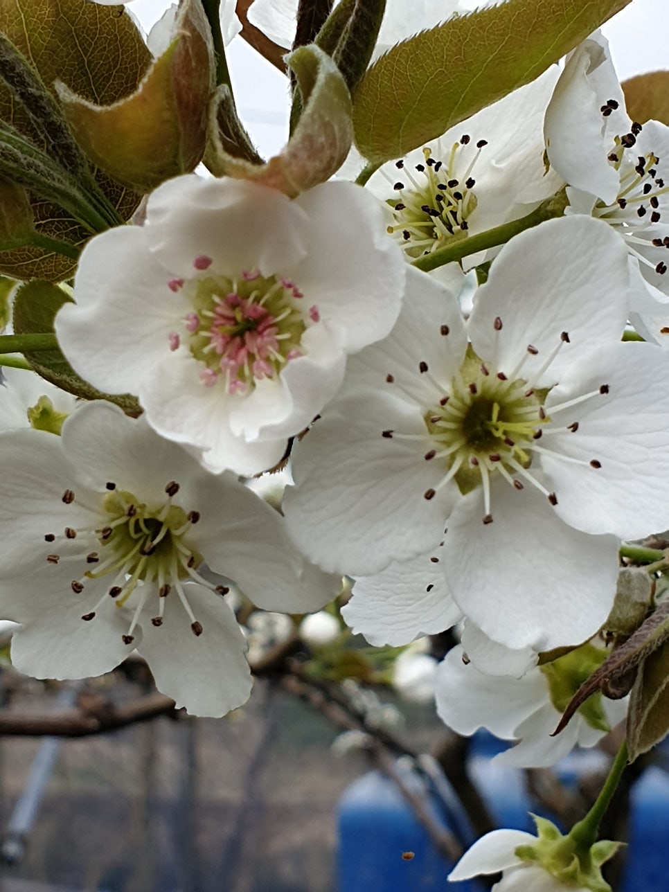 덕골 사진 2