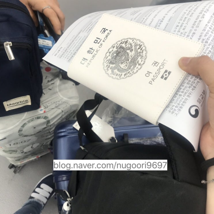  워홀일기독일로 입국, 프랑크푸르트 여행, 유럽 여름 날씨는 40도 ..
