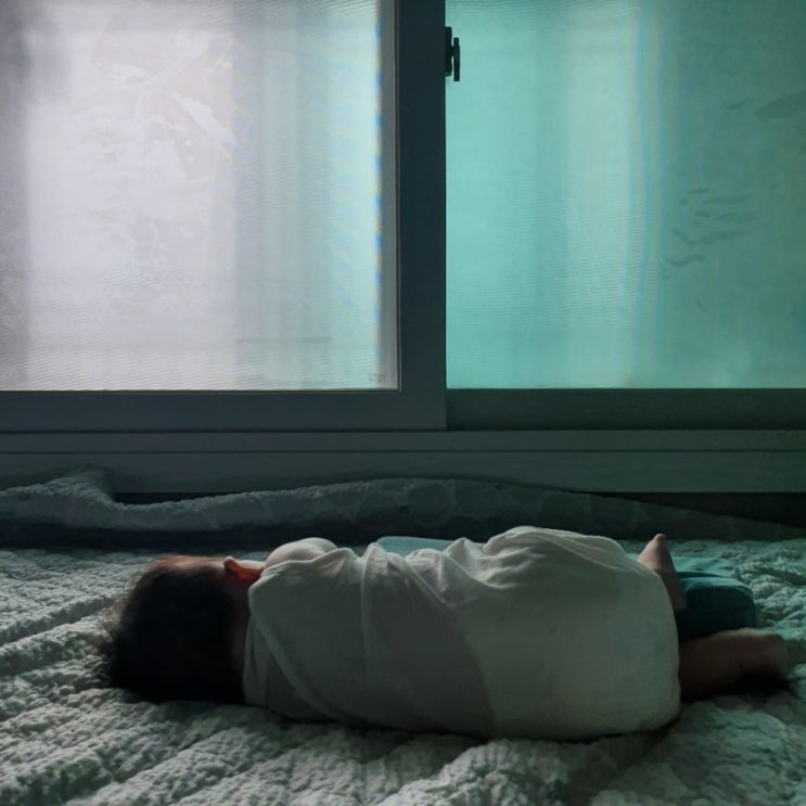  일상 :: 남매 , 스타우브 , 오빠의 방학 , 여름휴가(1)