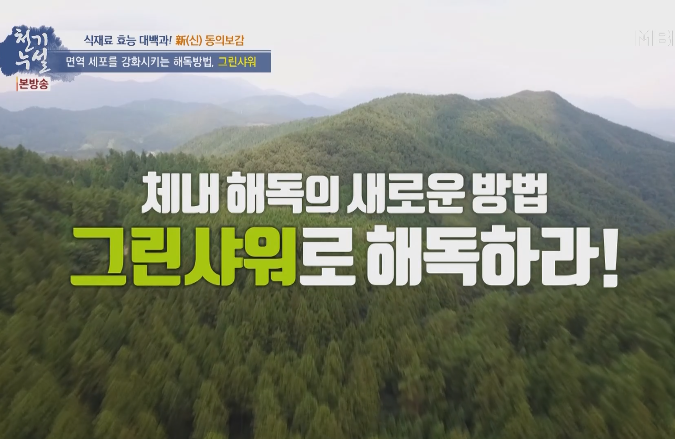  브로콜리새싹 분말 효능 정리