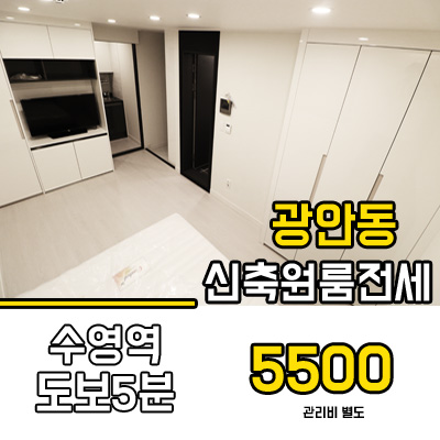  광안동 신축 원룸 전세<혜신클라우드>, 인테리어에 BANANA?