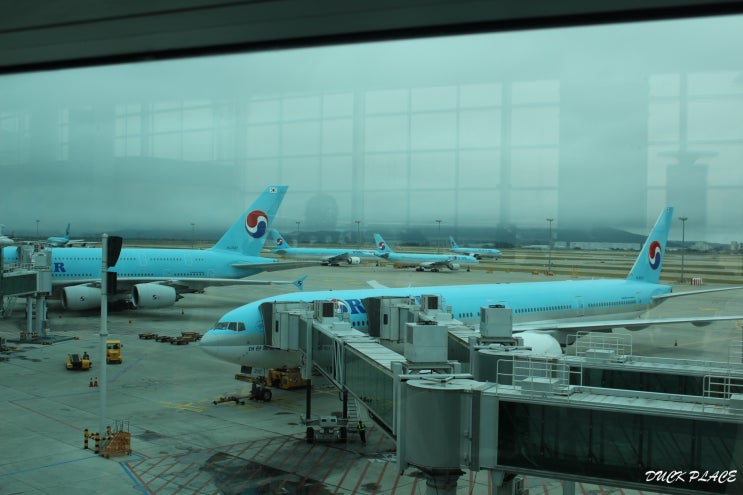  일본 삿포로 여행아닌 여행인듯 여행 1탄(신치토세공항/삿포로역/토부호텔/오타루)