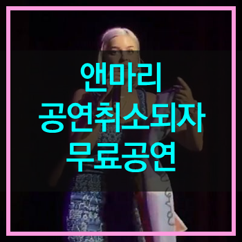  앤마리 홀리데이랜드 페스티벌 주최측의 공연취소에 자체 무료 게릴라 공연