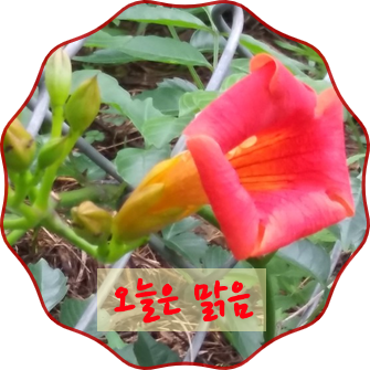  희망사항(100-62)