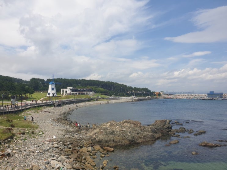  대구에서 울산여행&경주여행 (대왕암공원-울산롯데시티호텔-달동맛찬들-태화강대공원-태화강십리대숲-태화강은하수길-간절곶)