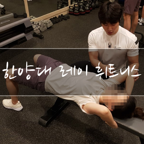  <한양대 헬스장>한양대 PT 추천- 레이 휘트니스에서 운동 2주차!