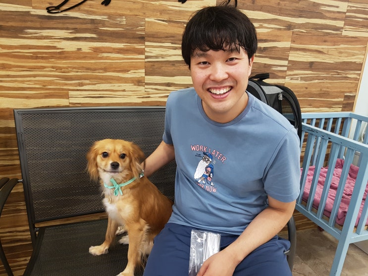  강동 애견카페 서울리버티벨 리얼후기