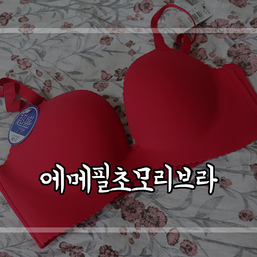  [에메필세일] 에메필초모리브라/에메필속옷 사이즈 측정법