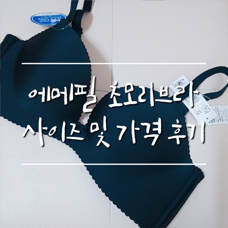 여름에 입기 좋은 블랙 속옷 '에메필 초모리브라' 사이즈 및 가격후기