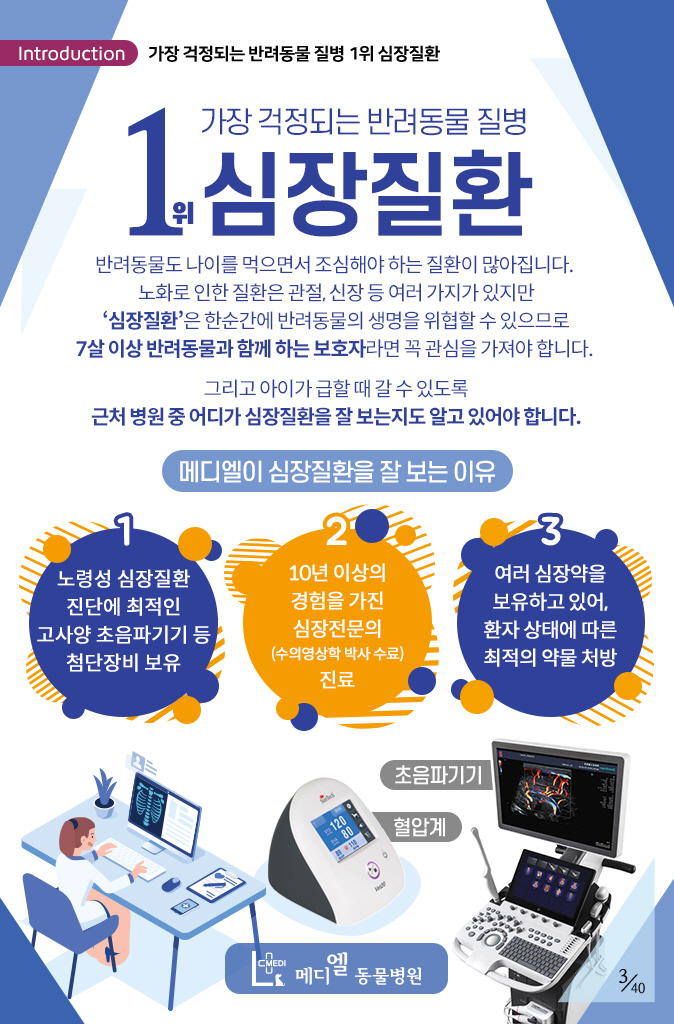  (김포동물병원) 심장약에 대해서