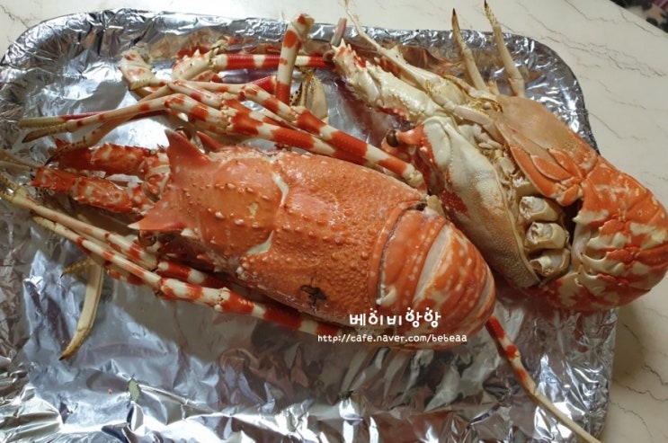  정글의법칙 크레이피쉬 먹부림
