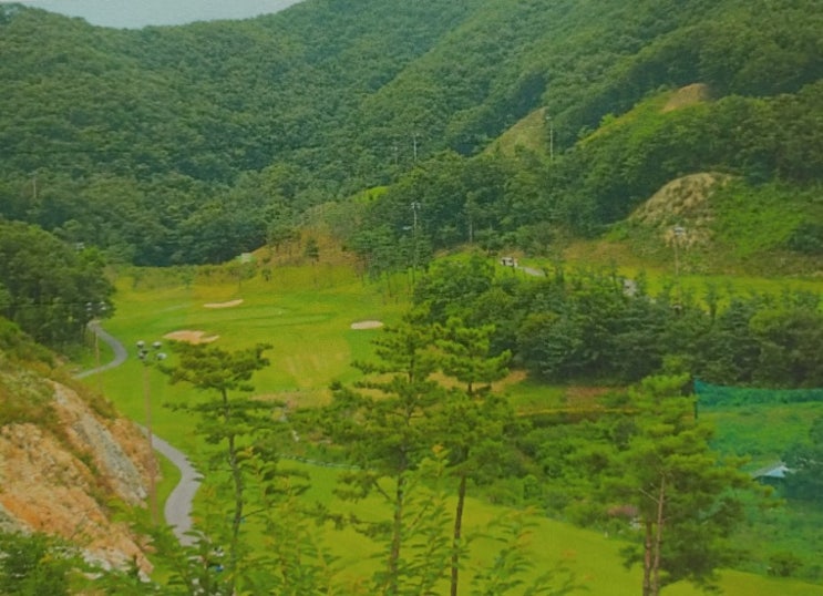  용인 해솔리아cc 7월 8월 그린피 이용요금 코스공략도