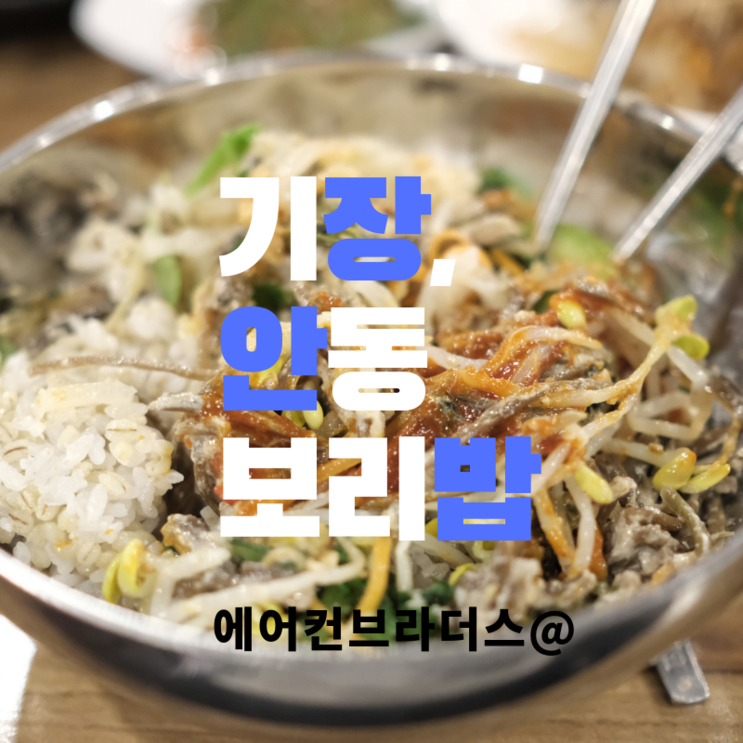기장 풍원장 안동보리밥
