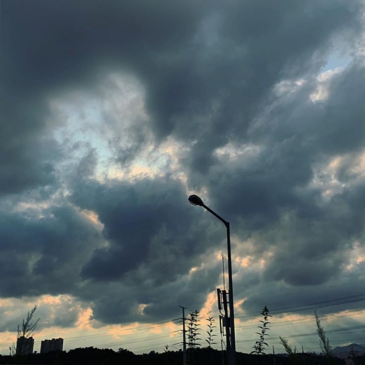  190729 박유천 인스타그램 업데이트
