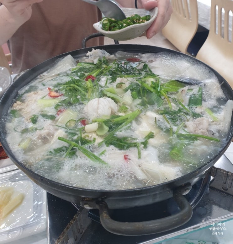  주문진 맛집 : 미가 곰치국 (ft.아빠 단골 맛집)