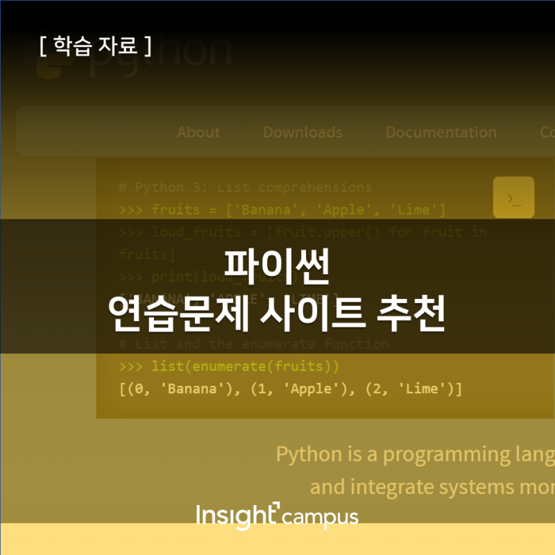ì¸ì‚¬ì´íŠ¸ ìº í¼ìŠ¤ íŒŒì´ì¬ ì˜ˆì œ ì—°ìŠµë¬¸ì œ ì‚¬ì´íŠ¸ ì¶