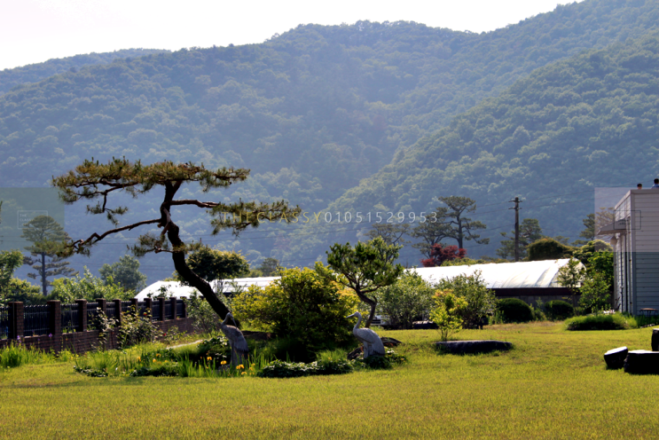  베이커리카페음식점가능 팔당퇴촌800평전원주택매매 Garden House Near Seoul