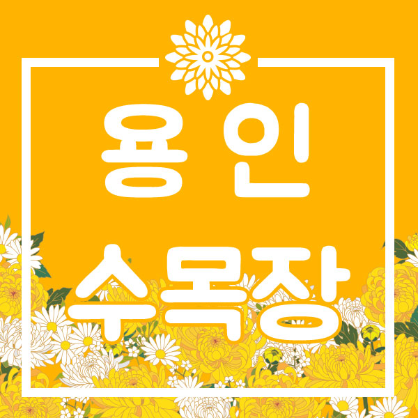  용인수목장 안전하게 알아보세요