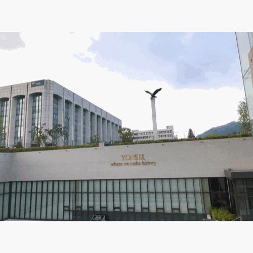 연세대학교 스타벅스 카드 연세대학교 스타벅스 카드