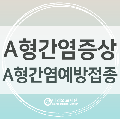  A형 간염 증상 및  A형 간염 예방접종