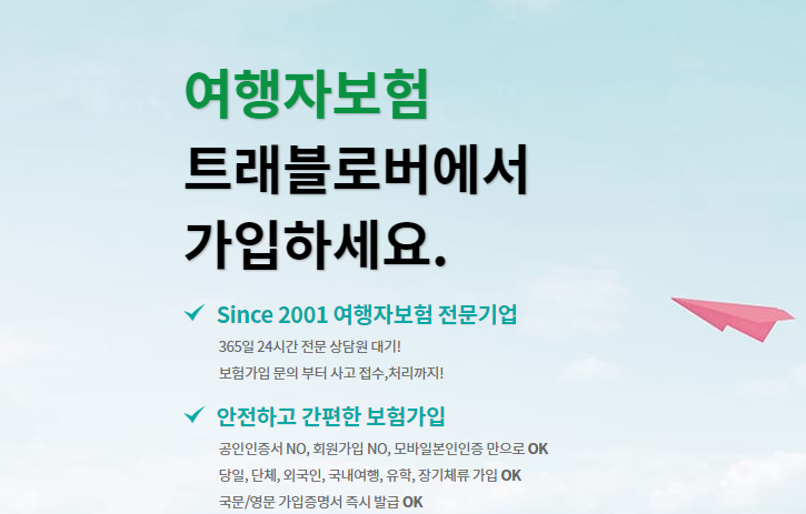  국내 여행자보험으로 추천하는 트래블로버!(feat.여행자보험싼곳)