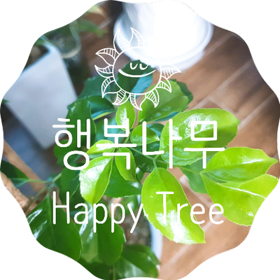 행복나무 키우기. 함께 미소지어지는 웃는 잎의 싱그러움! 해피트리. 행복가져가세요!