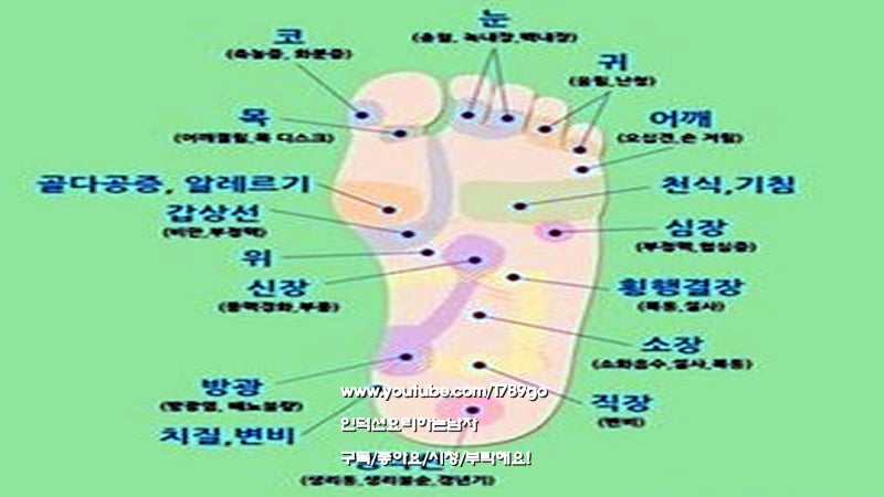 발바닥지압점 발바닥지압효과 무엇이든 꾸준히 하는것이 답이다. : 네이버 블로그