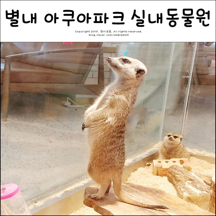 별내 아쿠아파크 남양주 아이와 가볼만한곳