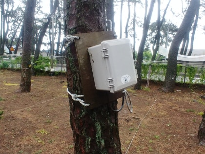 경주 야영장 감포읍 전촌해수욕장 송림오토캠핑장 : 네이버 블로그 경주 야영장 감포읍 전촌해수욕장 송림오토캠핑장 : 네이버 블로그