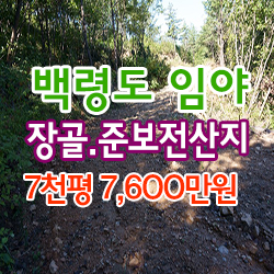  백령도 임야 매매, 차량진입 가능 준보전산지 / 가을리 (임) 2,3000 / 사항포→관창길→장골