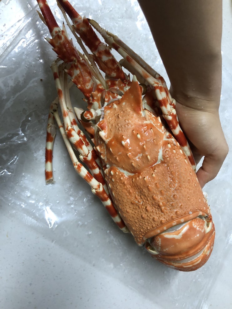  저도 먹었네요 크레이피쉬 후기, 맛, 가격