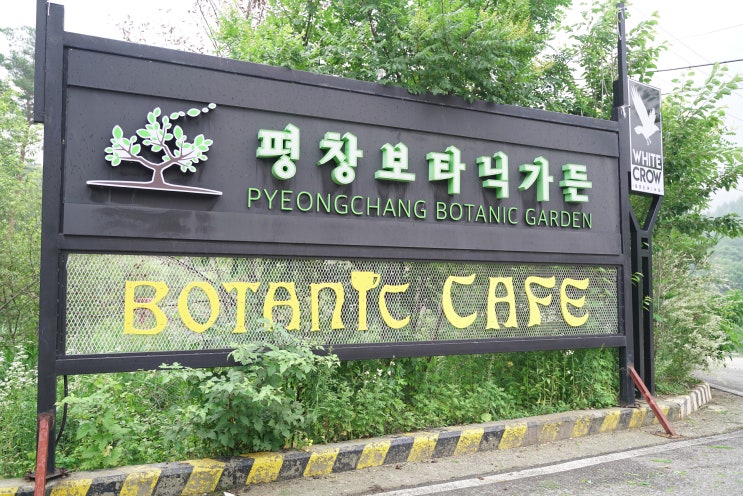  평창가볼만한곳 :: 평창보타닉가든
