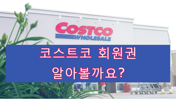  "코스트코 회원권" 적립 포인트 제대로 알고 계세요?