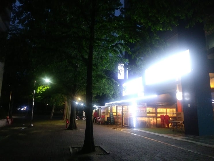  일산 호수 공원의 夜景