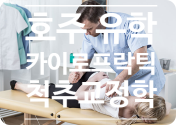  호주 척추교정학 (카이로프랙틱) 전망 및 학교 안내 #Chiropractic