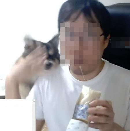  게임 방송 유튜버 동물 학대 논란…얼굴 가격하고 침대에 내던져