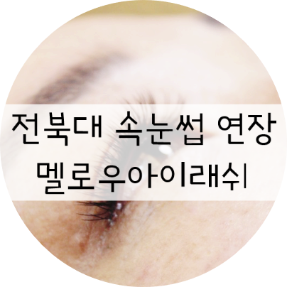  전주 속눈썹연장 / 전북대 속눈썹연장 " 멜로우아이래쉬"