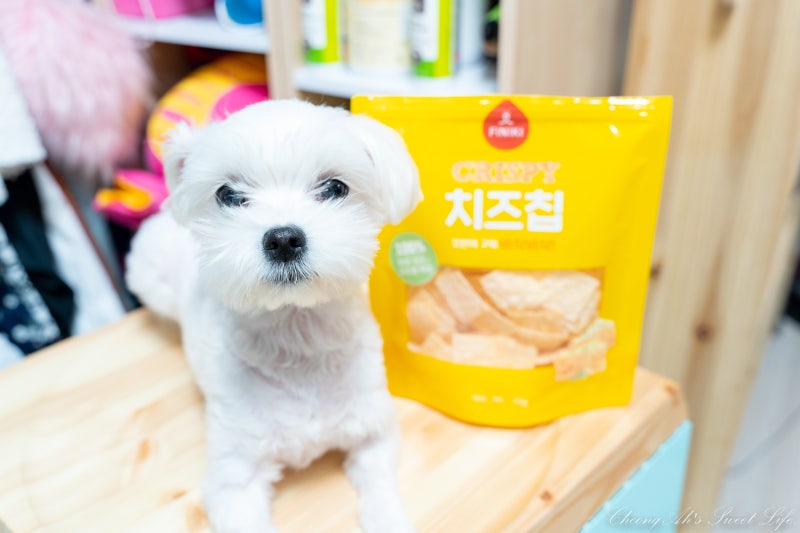 피니키 가수분해 연어사료 , 건강간식 치즈칩까지 기호성 좋아