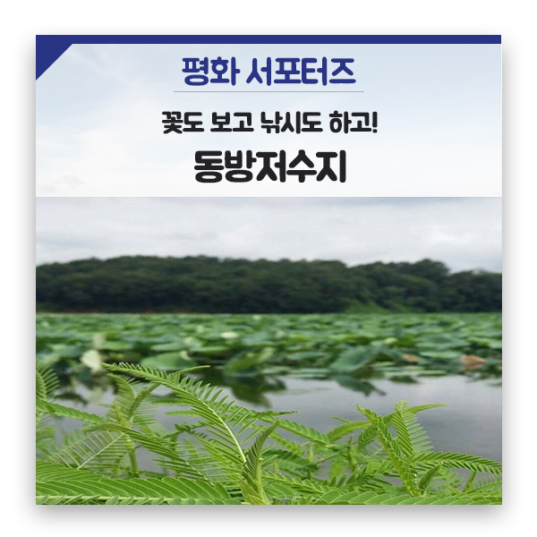  평화로운 화성시에군공항이 들어선다면, 동방저수지에 많은 생명들을 잃게 됩니다.