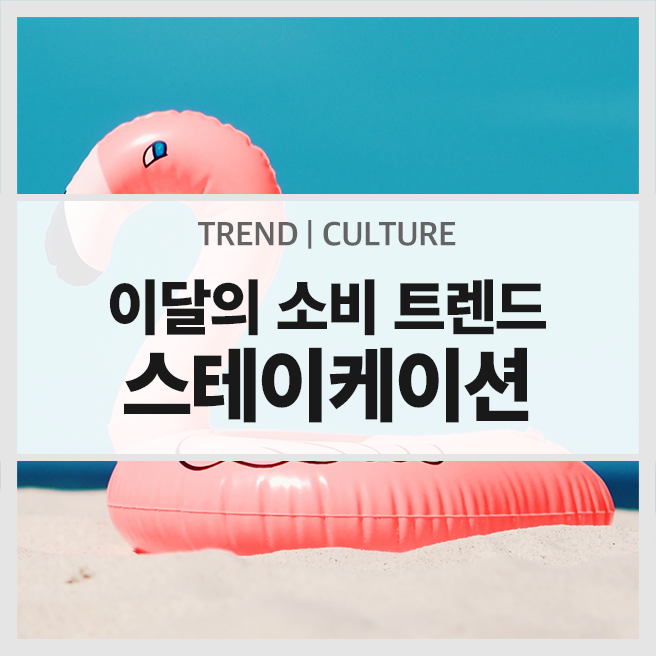  [이달소] 당신의 여행 취향은 무엇? 호캉스로 보는 2019 여행 트렌드