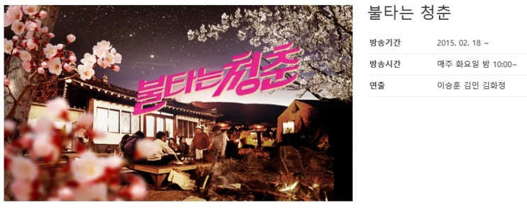  불타는 청춘 출연진 조하나 양닥터 그리고 브루노