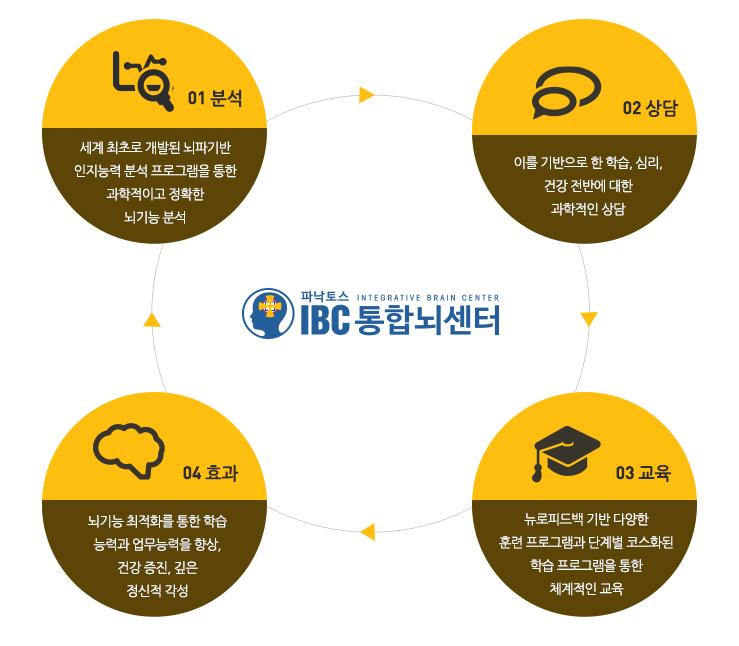  포항 뉴로하모니 영재교육, 두뇌발달 과정 및 두뇌계발